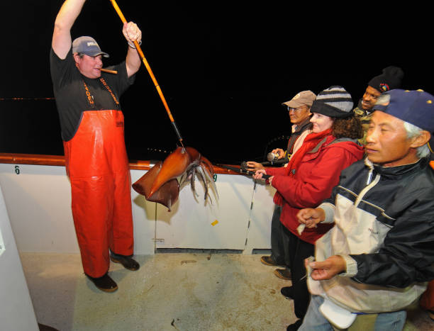 Night squid fishing Hokkaido Japan
