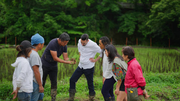 Organic farm stay Nagano Japan