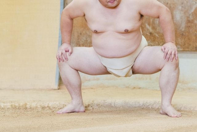 Sumo morning practice Tokyo